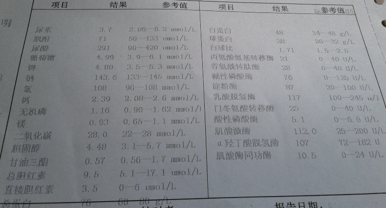 盲试特一个月后的报告