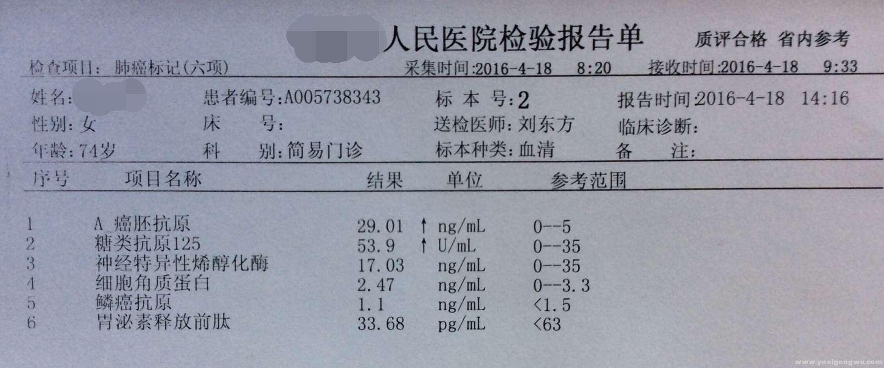 4.18肺标_看图王.jpg