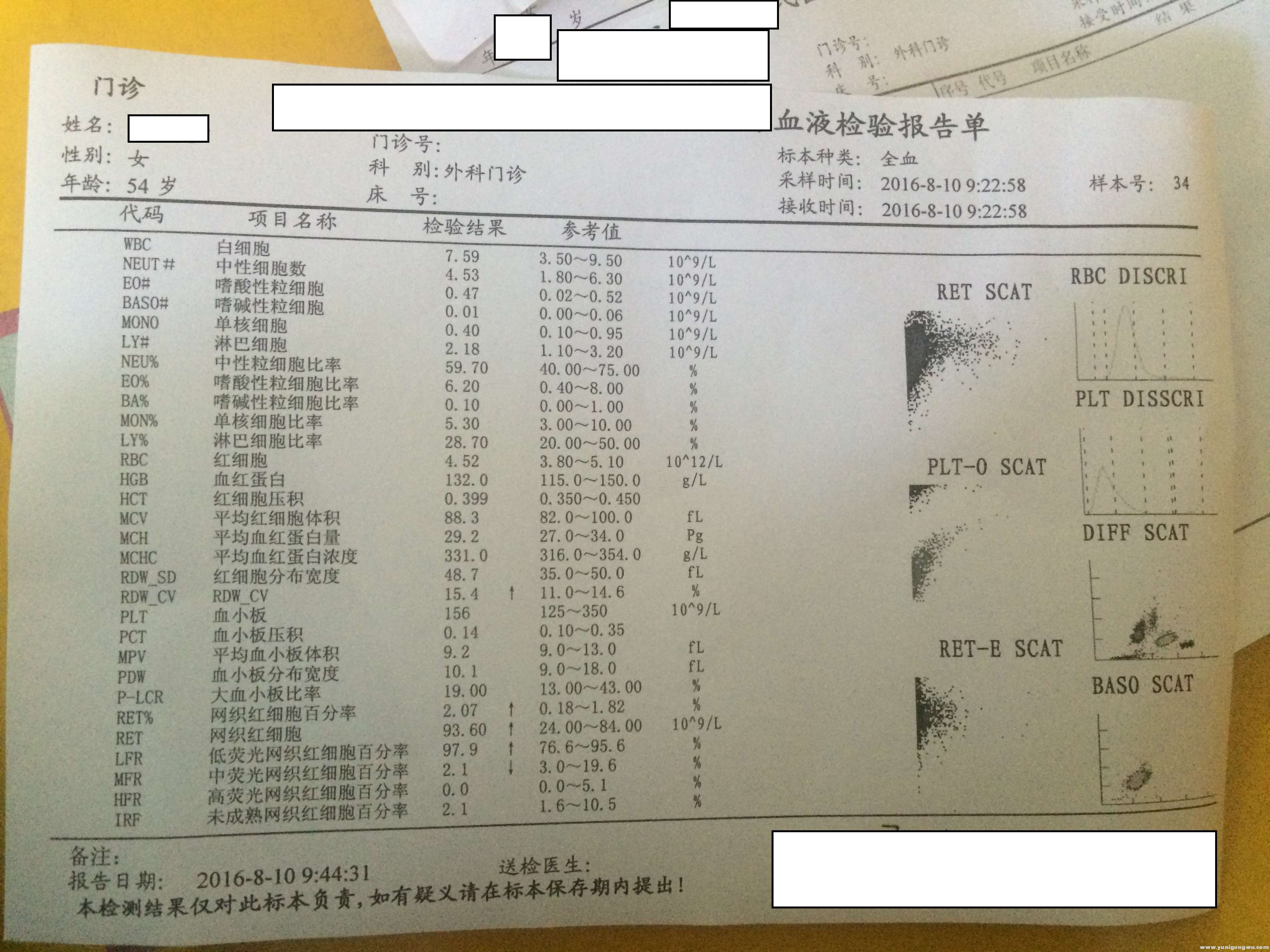 2016-8-10检查血单.JPG