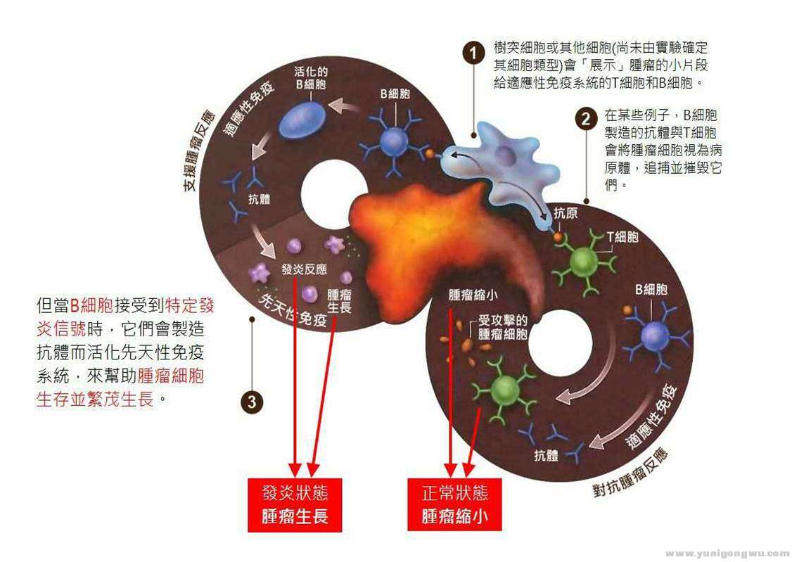 图片8.jpg