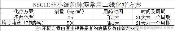 表2：非小细胞肺癌二线化疗