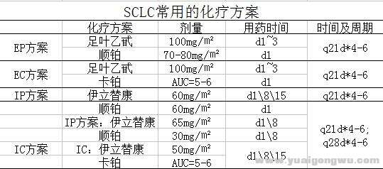 表6：小细胞肺癌化疗方案