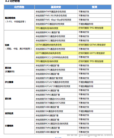 基因检测-5