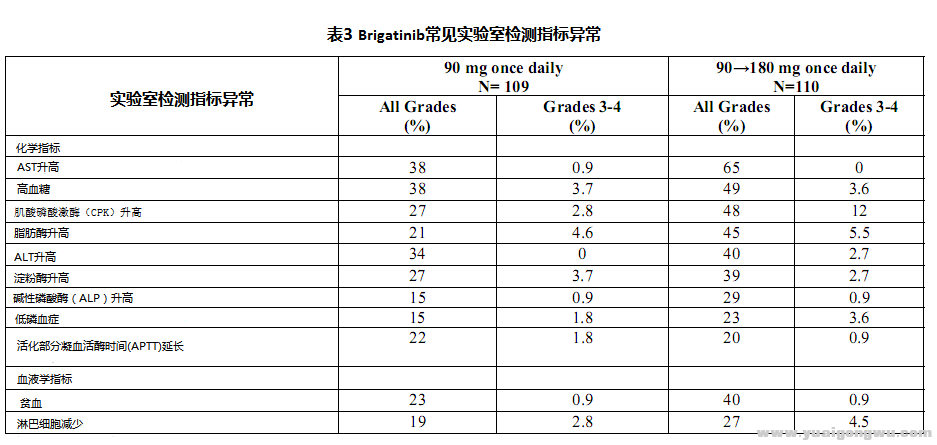 布加替尼B3.jpg