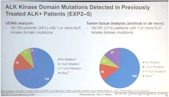 AACR20187.jpg