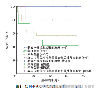 少见类型肾细胞癌的临床特征及预后3.png