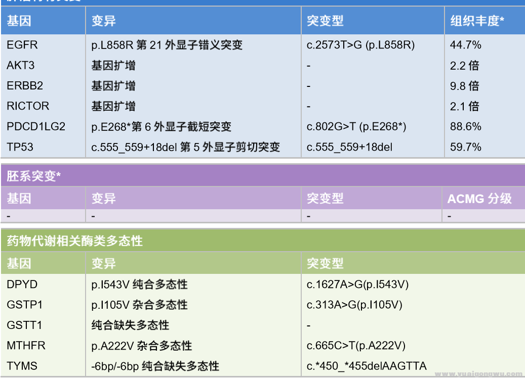 术后的基因检测