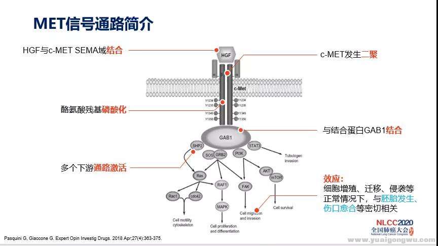 微信图片_20200620203339.jpg