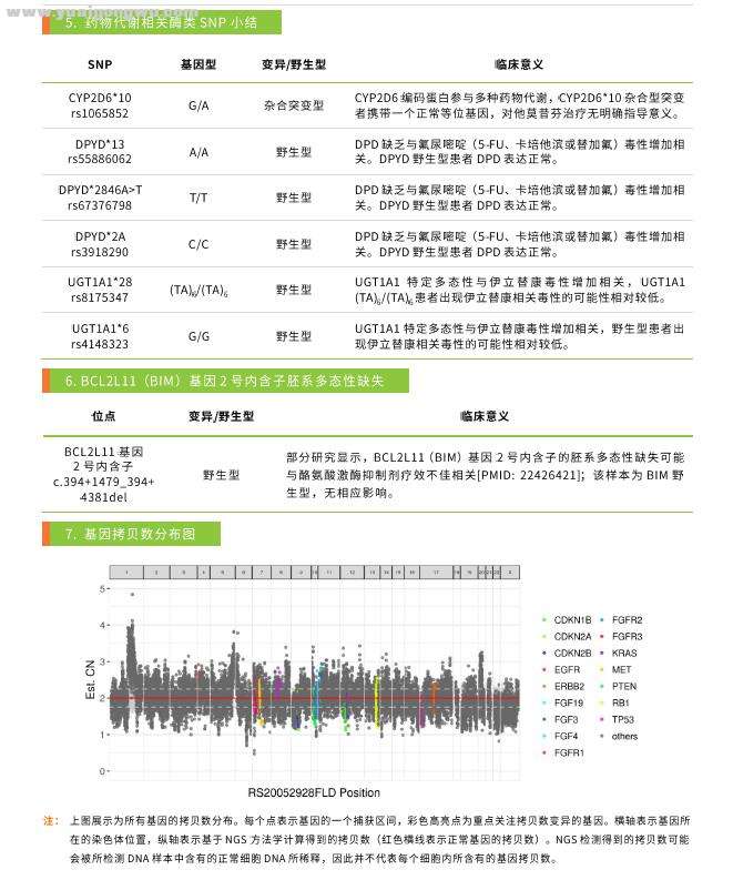 燃石检测报告B2.jpg