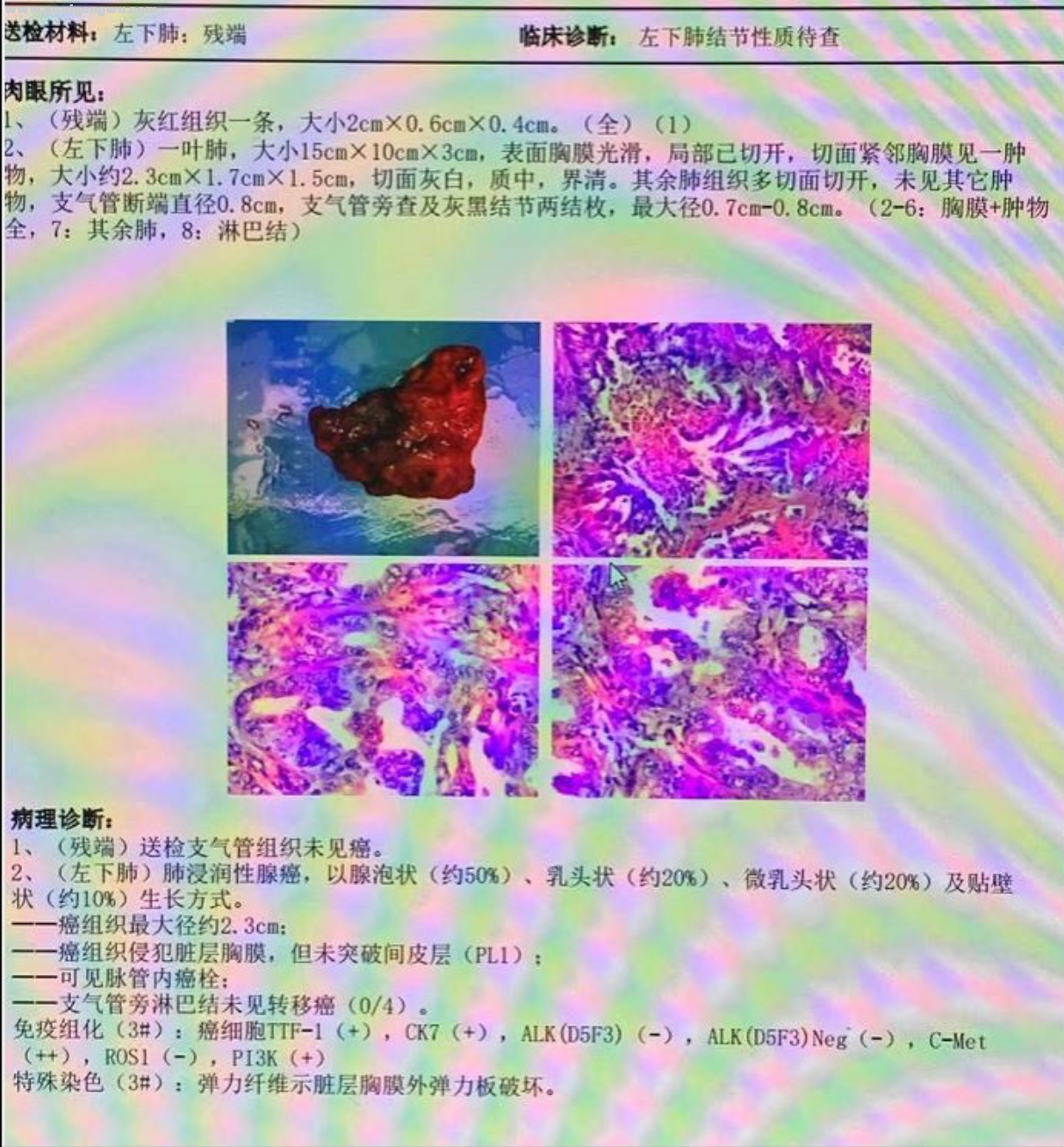 QQ图片20210301004540.png