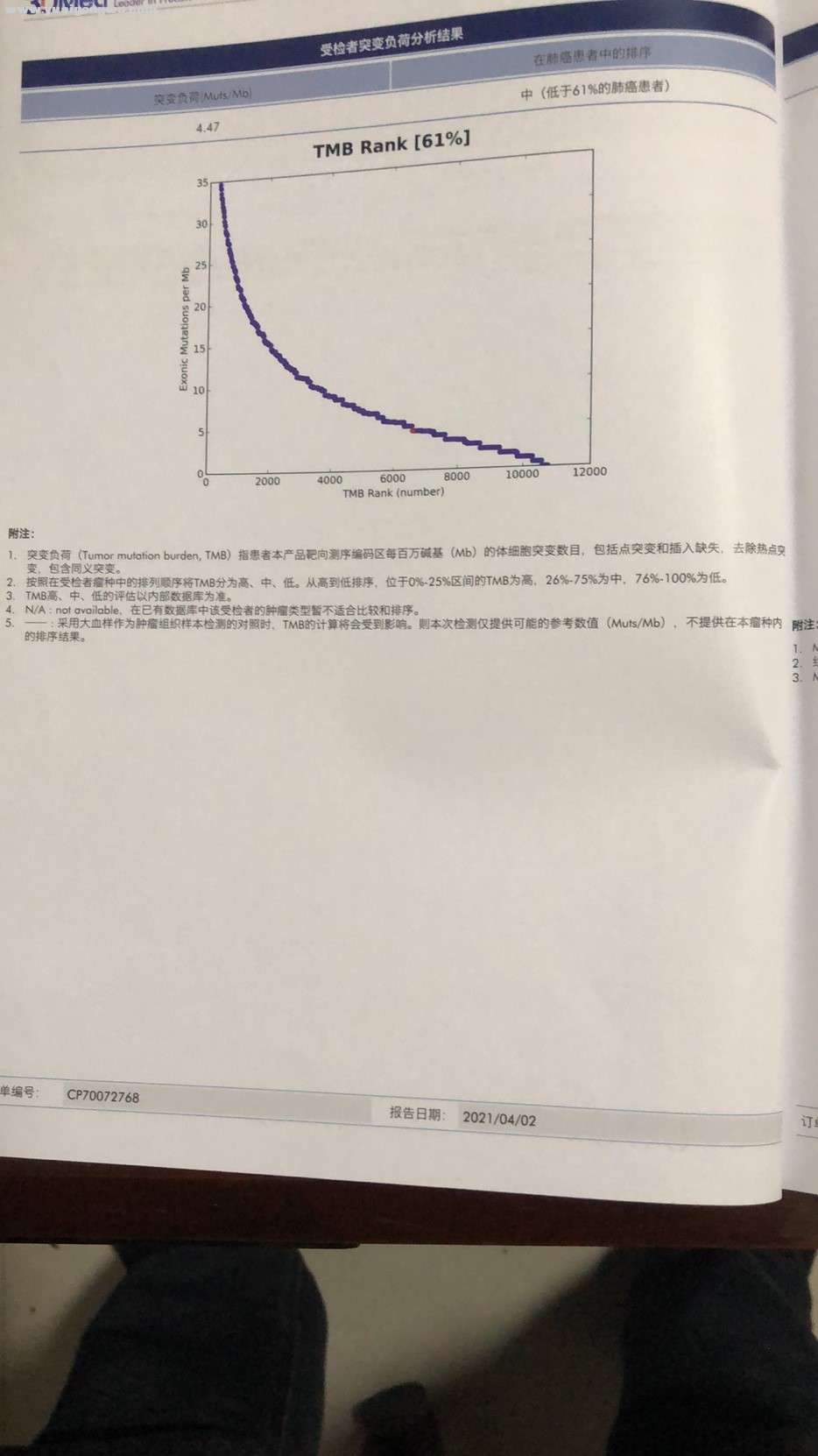 基因4.jpg