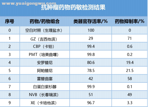 药敏试验结果